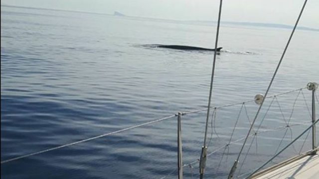 720_517382_27e012b972-8f9bcb47f3bf0059