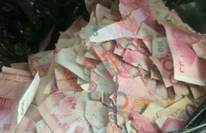 Εφιάλτης ένας 5χρονος για τους γονείς του: Έσκισε χαρτονομίσματα αξίας 6.350 ευρώ