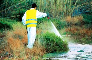 Παρασκευή 9 Ιουνίου: Η τρίτη μάχη με τα κουνούπια στα 3Β – Που θα γίνουν ψεκασμοί