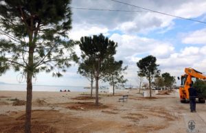 Πως βαθμολόγησαν το «πράσινο» της πόλης οι κάτοικοι της Γλυφάδας (πίνακας)