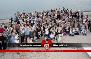 Με μεγάλη επιτυχία πραγματοποιήθηκε στον Άλιμο, η 10η Σιχτζουδοσυνάντηση