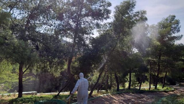 45572584_1560803927355537_2319790417291247616_n