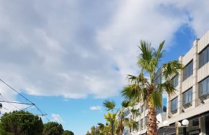 Γιώργος Παπανικολάου: “Ναι, είναι η Μεταξά ο δρόμος που βλέπετε!”