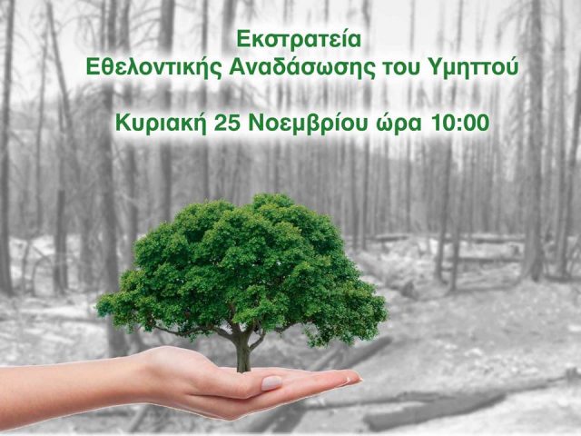 46513505_2301641899863691_2646493409673478144_n