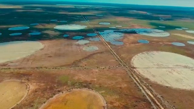 4dae3efdb7c1ae9c8a4a929c689ac32c_XL (1)