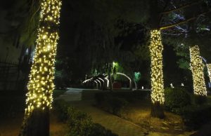 Τα «γιορτινά» του φόρεσε και φέτος ο Δήμος Γλυφάδας