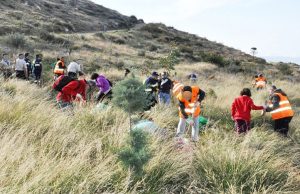 2η εθελοντική δενδροφύτευση στο Ρέμα της Χαλιδούς