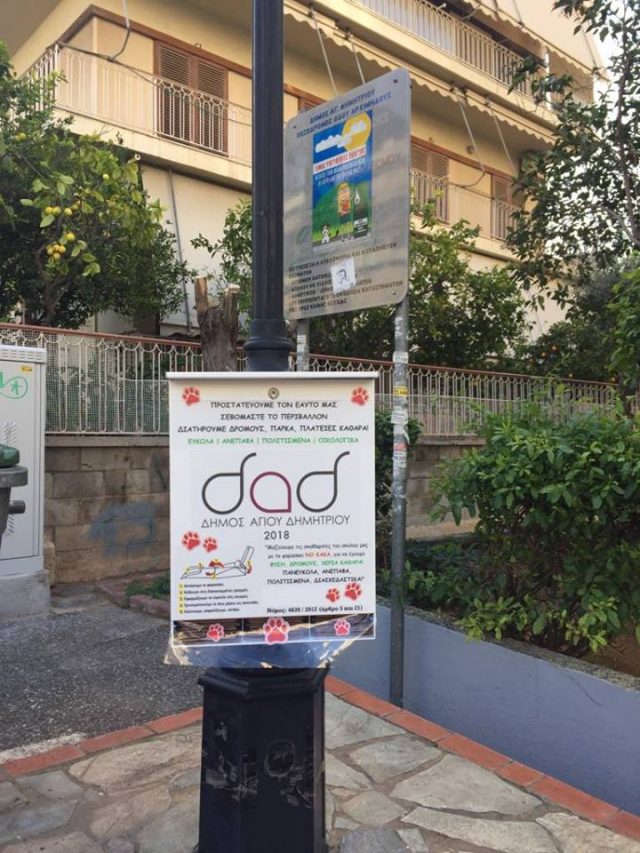 48059209_2233323426928439_3698005681245257728_n