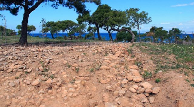 arxaios-dromos-kavouri-660x366