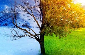 Ερχεται «ζεστός» χειμώνας στην Ελλάδα και από Μάρτη… καλοκαίρι!