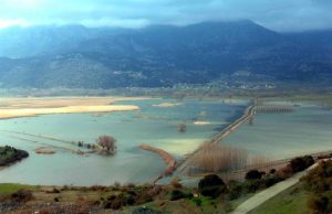 Λίμνη Στυμφαλία: Η προστατευόμενη περιοχή με την ανεκτίμητη οικολογική αξία