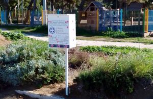 Χάρτινο φαρασάκι από τον Δήμο 3Β για τις ακαθαρσίες των σκύλων