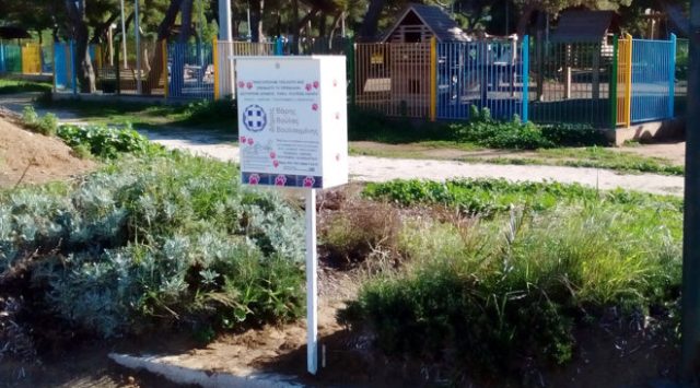 no-kaka-kavouri-660x366