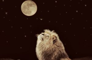 21-23/1/2019 – ΣΕΛΗΝΗ ΣΤΟΝ ΛΕΟΝΤΑ