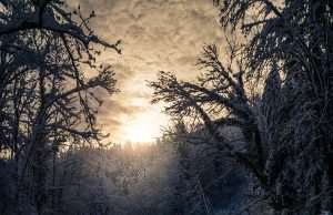 Εκπληκτικής ομορφιάς χειμωνιάτικα σκηνικά!