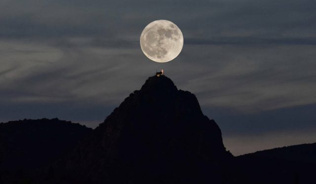 18-10-06-image-5c6a83be49d4d (1)