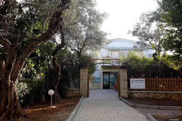 52944312_2517537018261821_1513918152990261248_o