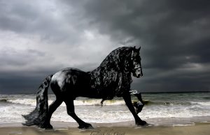 Αυτό είναι το ωραιότερο άλογο του κόσμου και η ομορφιά του είναι πραγματικά εκθαμβωτική