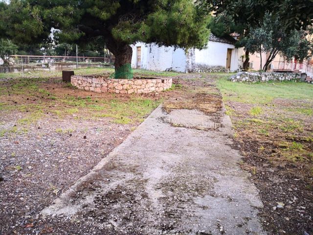 58994551_474565936699788_9153871107999137792_n