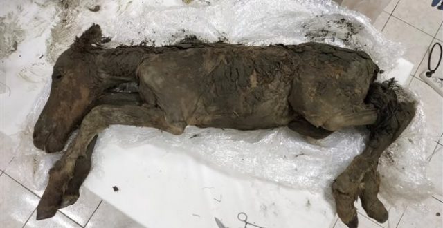 BF5157A2C1A6D8C98D32197271E43AF2