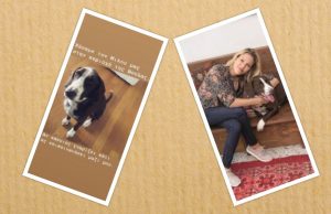 Βίκυ Καγιά: Έχασε τον σκύλο της στην περιοχή της Βούλας – Έκκληση για βοήθεια από την παρουσιάστρια