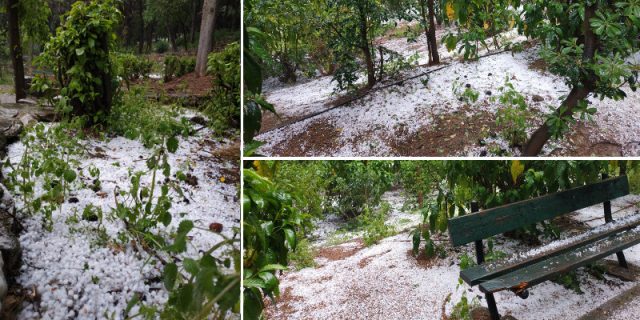 xalazi-alsos-pagkratiou-2019-04-15