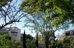 Πάρκο Ευρυάλης, μια ακόμα υπέροχη γωνιά της πόλης μας!
