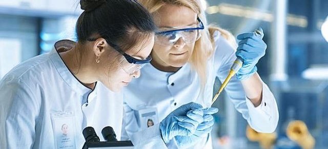 15597591331151237232