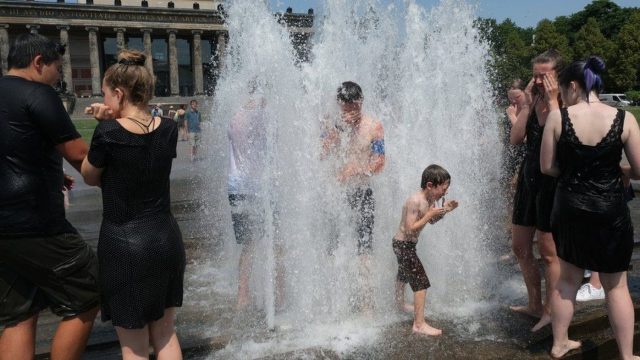 88b68df693ea6fe5327f61c413f42125_XL