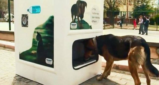 prwtoporiaki-siskeui-anakiklwsis-antallassei-plastika-trofi-adespota-750x400