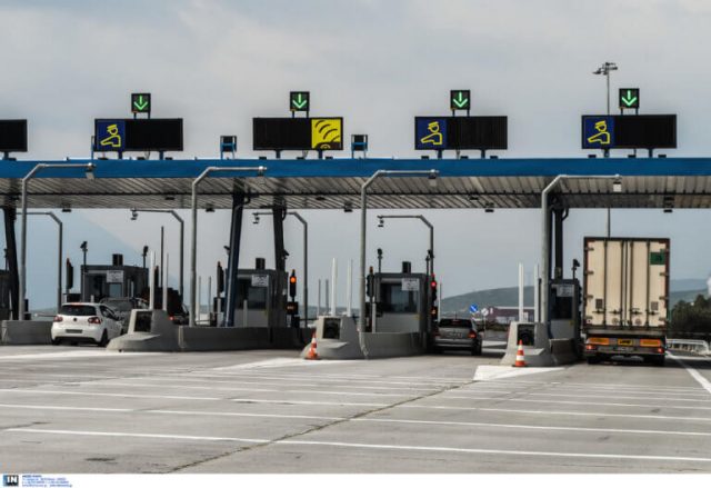 diodia_2906_1-768x527