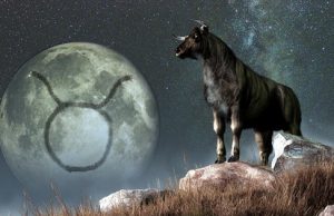 24-27/7/2014 – ΣΕΛΗΝΗ ΣΤΟΝ ΤΑΥΡΟ