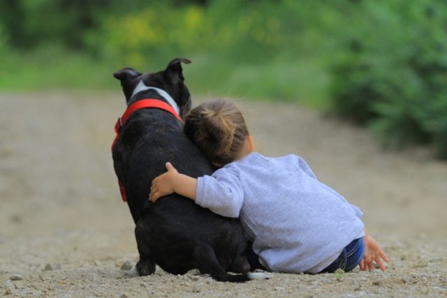 Aποχαιρετισμός-στον-Σκύλο