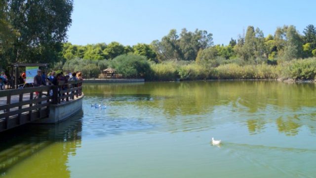 parko-tritsi-710x401