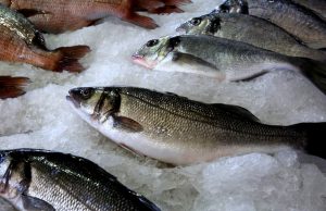 Χρ. Στελακάτος: «Η βιομηχανία ψαριών μάς ταΐζει καρκίνο, δεν θα σταματήσω να το λέω»