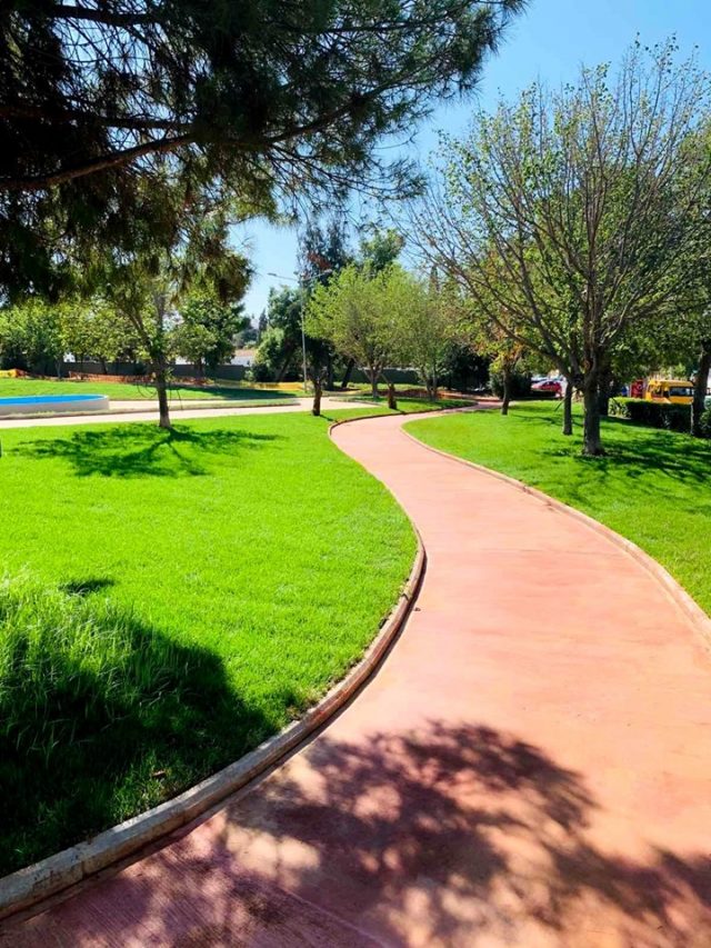 74707195_2976266419055543_7577962923226562560_n