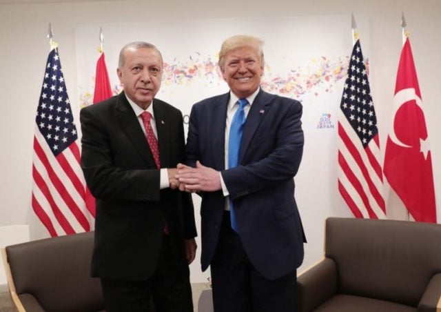trumperdogan-768x542