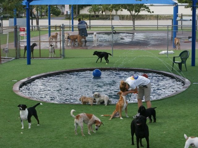 75349021_531069554397254_6696135231742672896_n