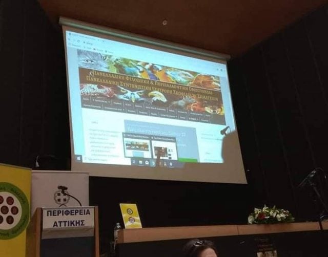 76932488_536804380490438_748347014231621632_n