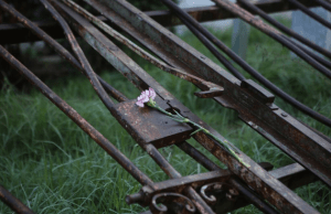 #Πολυτεχνείο: Η εξέγερση στην εποχή των social media