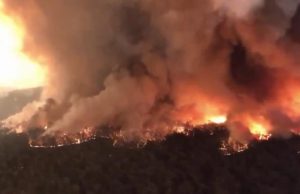 Αυστραλία: 24 νεκροί | 100.000 εγκατέλειψαν τα σπίτια τους!