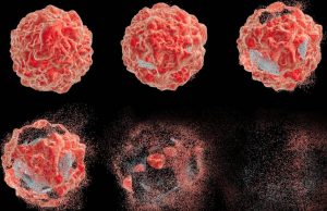 Καρκίνος: Τυχαία ανακάλυψη δίνει ελπίδες για θεραπεία όλων των μορφών