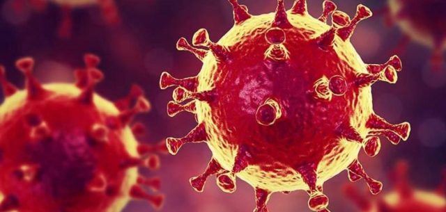 p1e33qorm41pdgned48jebj1s074_1170x557