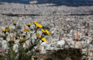Καιρός αύριο: “Καλοκαιρινή” Μεγάλη Παρασκευή – Λιακάδα και άνοδος θερμοκρασίας
