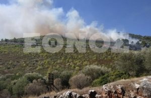 Φωτιά στον Διόνυσο και στον Νέο Βουτζά – Διακοπές ρεύματος στη Νέα Μάκρη