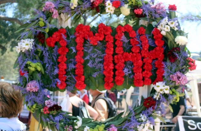 protomagia_aftodioikisi