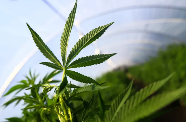 Opera Snapshot_2023-03-23_111046_img.huffingtonpost.com