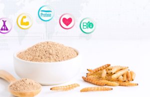 Εντομοφαγία: Εγκρίθηκαν τα τρόφιμα με συστατικά από γρύλο, αλευροσκουλήκι, ακρίδα- Με απόφαση Κομισιόν