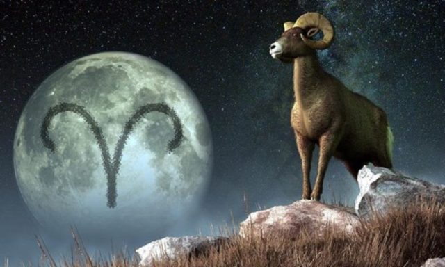 clickmag_c6d9-1000x600