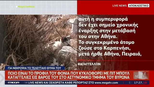 230427184734_pit-bull-2704